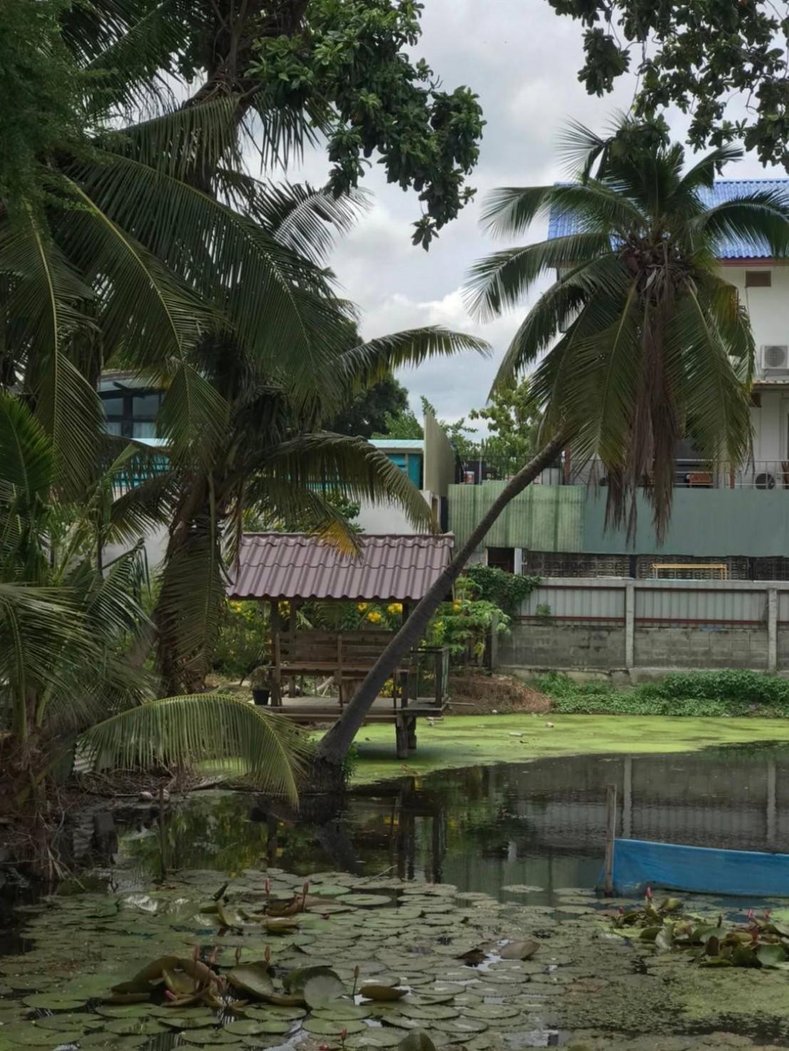 Baan Lotus Guest House Phra Nakhon Si Ayutthaya Dış mekan fotoğraf